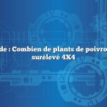 Réponse rapide : Combien de plants de poivrons dans un lit surélevé 4X4
